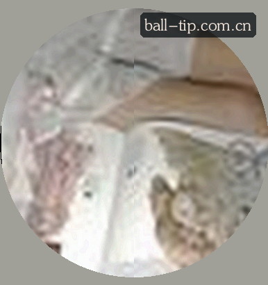 刘莹